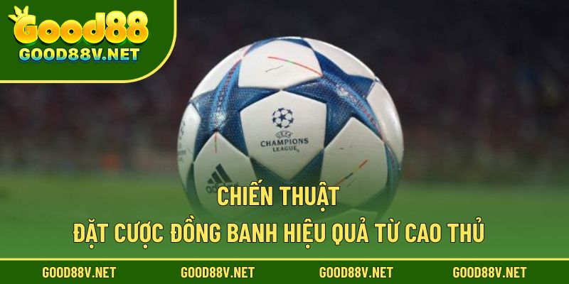 Chiến thuật đặt cược đồng banh hiệu quả từ cao thủ