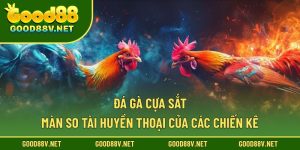 Đá gà cựa sắt