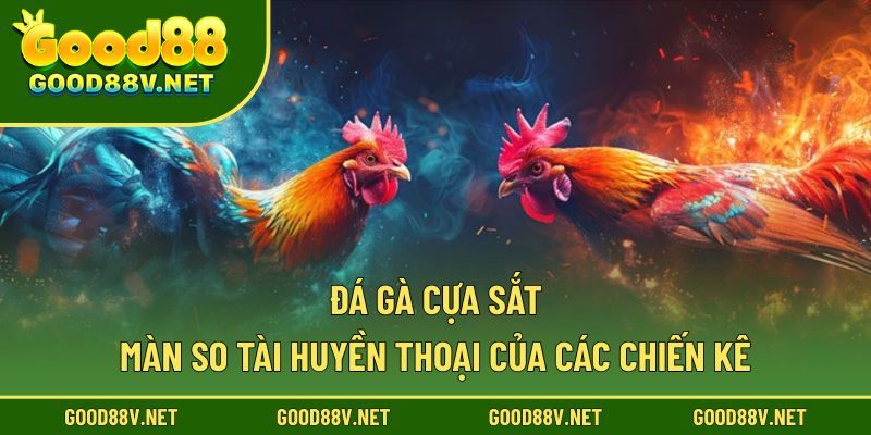 Đá gà cựa sắt
