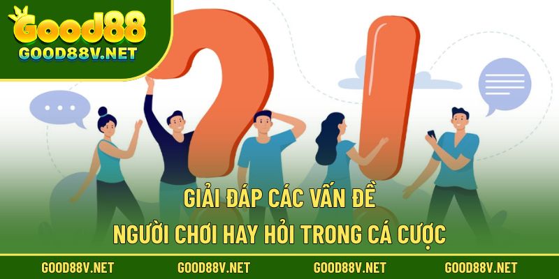 Giải đáp các vấn đề người chơi hay hỏi trong cá cược