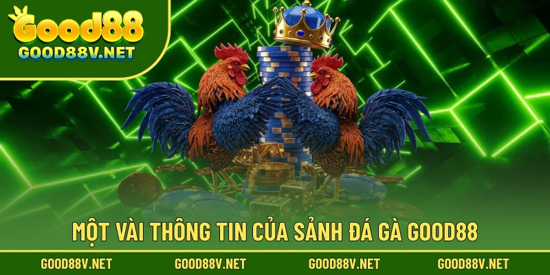 Khám phá những thông tin nổi bật về sảnh đá gà Good88