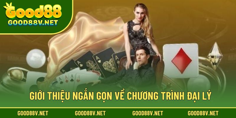 Giới thiệu ngắn gọn về chương trình đại lý