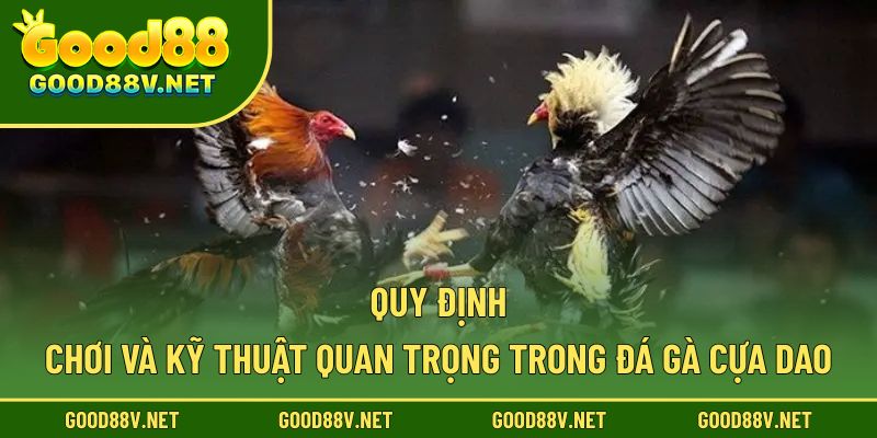 Quy định chơi và kỹ thuật quan trọng trong đá gà cựa dao