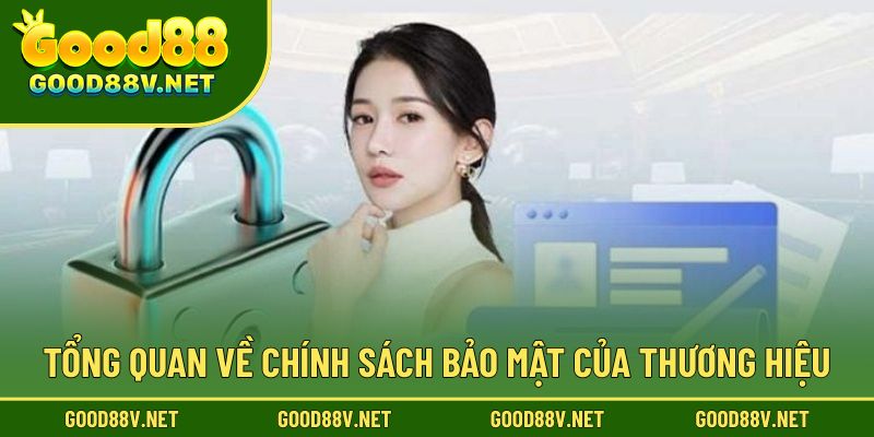 Tổng quan về chính sách bảo mật của thương hiệu